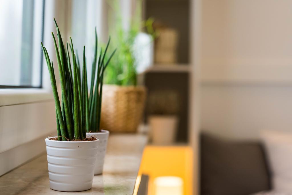 Apartamenty Tespis - Andersa Katowice Buitenkant foto